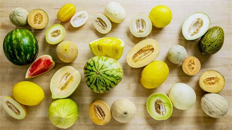 big melon tube|Trying Every Type Of Melon .